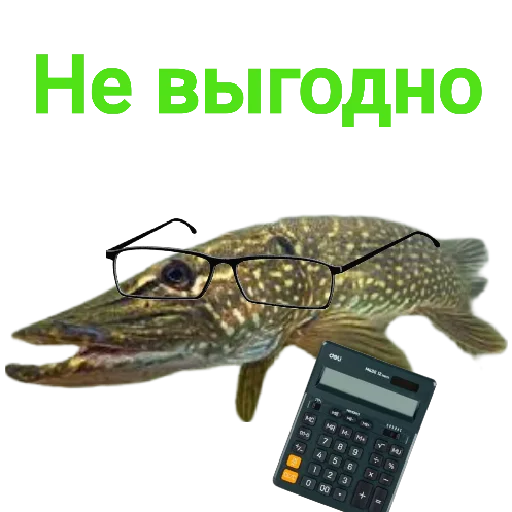 Sticker from the "Щука и Окунь | Мемы" sticker pack