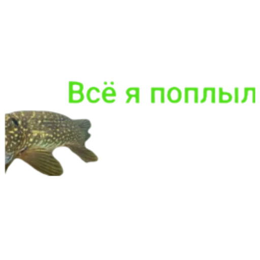 Sticker Щука и Окунь | Мемы