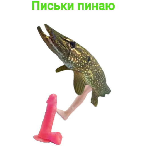 Sticker Щука и Окунь | Мемы