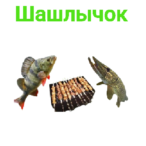 Sticker Щука и Окунь | Мемы