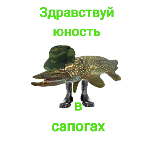 Sticker from the "Щука и Окунь | Мемы" sticker pack