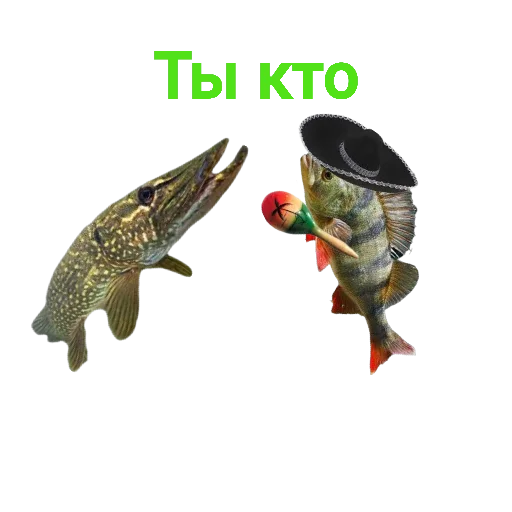 Sticker Щука и Окунь | Мемы