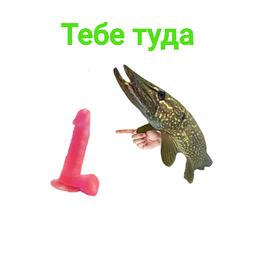 Sticker from the "Щука и Окунь | Мемы" sticker pack