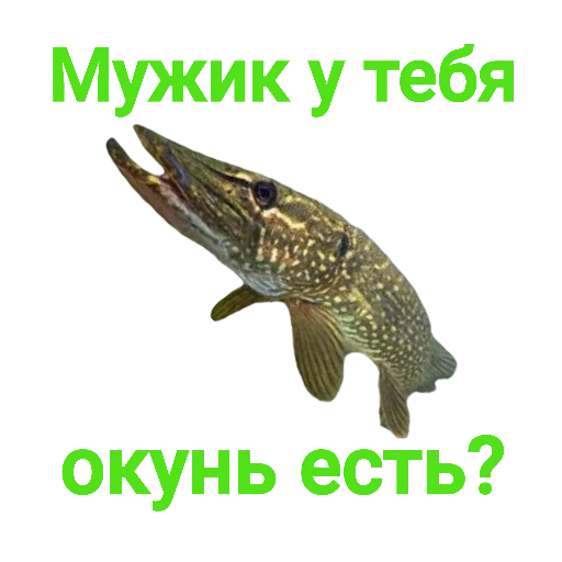 Sticker from the "Щука и Окунь | Мемы" sticker pack