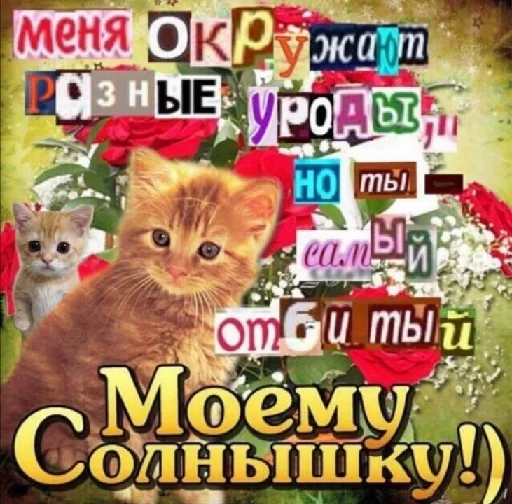 Sticker from the "уебанские открытки" sticker pack