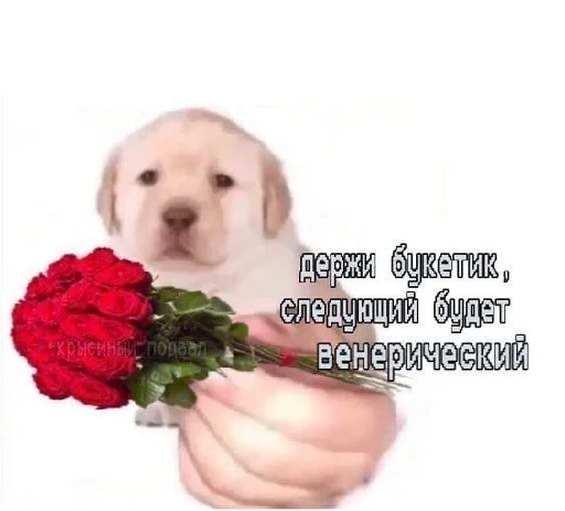 Sticker from the "уебанские открытки" sticker pack