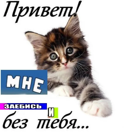 Sticker from the "уебанские открытки" sticker pack