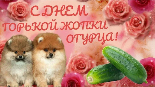 Sticker from the "уебанские открытки" sticker pack