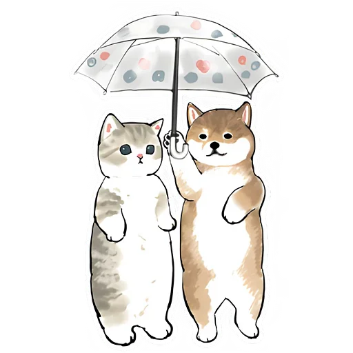 Sticker from the "Шиба и Нян котик" sticker pack