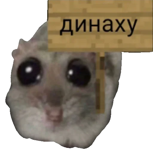 Sticker Грустный хомяк