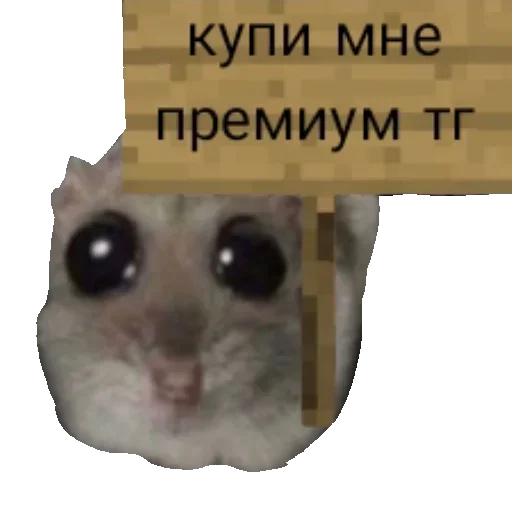 Sticker Грустный хомяк