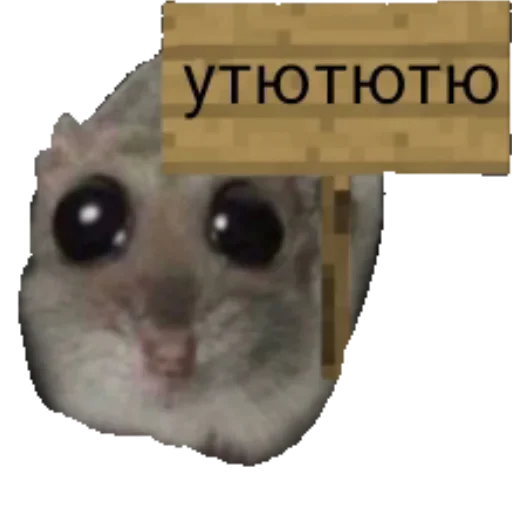 Sticker from the "Грустный хомяк" sticker pack