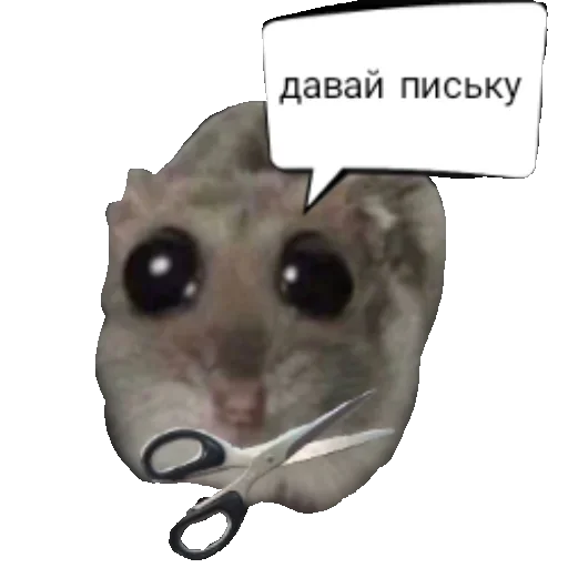 Sticker from the "Грустный хомяк" sticker pack