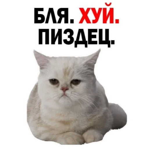 Sticker from the "для вас мои хорошие" sticker pack