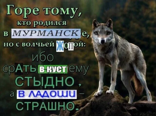 Sticker from the "Волчьи цитаты" sticker pack