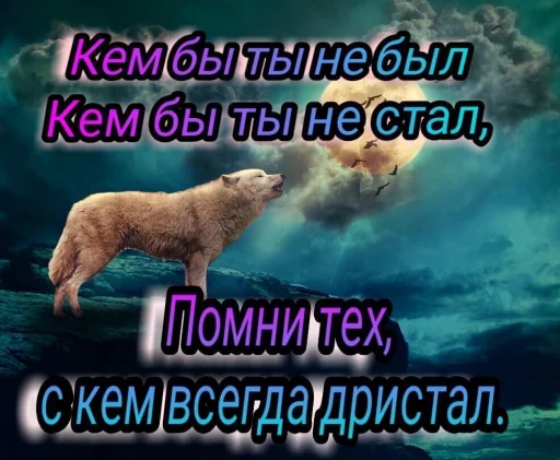 Sticker from the "Волчьи цитаты" sticker pack