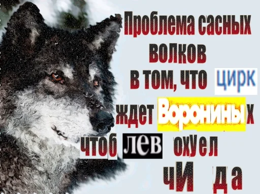 Sticker from the "Волчьи цитаты" sticker pack