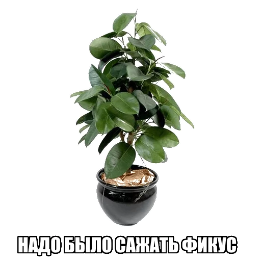 Sticker from the "Надо было ставить Linux" sticker pack