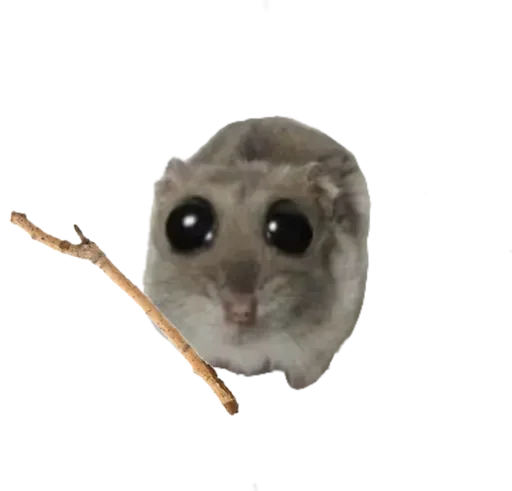 Sticker from the "sad hamster" sticker pack