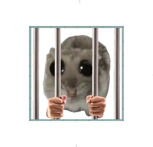 Sticker sad hamster