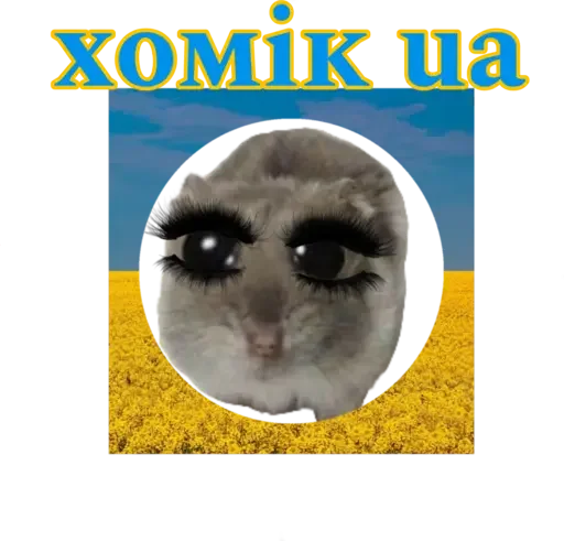 Стикер из набора "sad hamster"