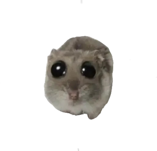 Sticker sad hamster