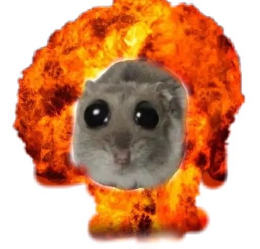 Sticker from the "sad hamster" sticker pack