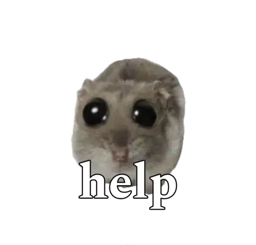 Sticker sad hamster