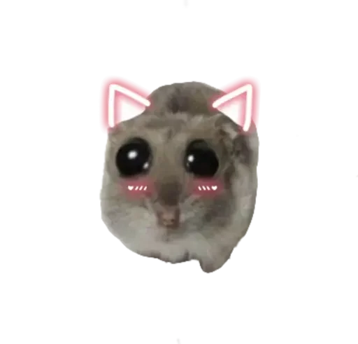 Sticker from the "sad hamster" sticker pack