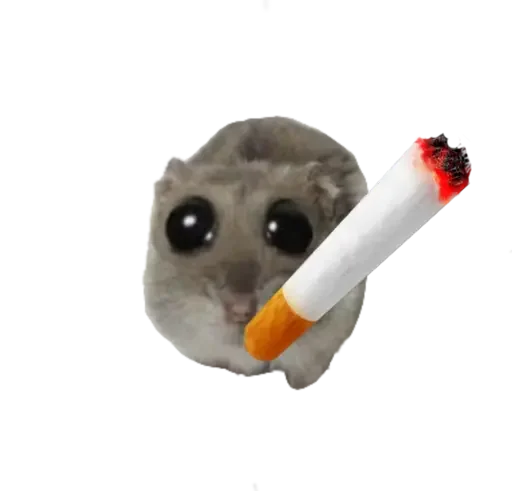 Sticker from the "sad hamster" sticker pack