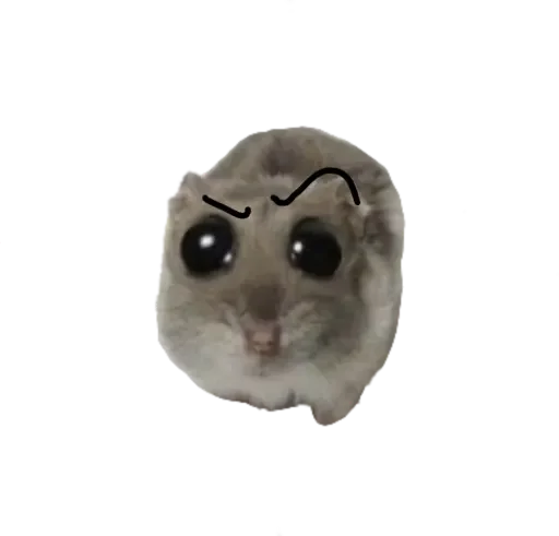 Sticker sad hamster