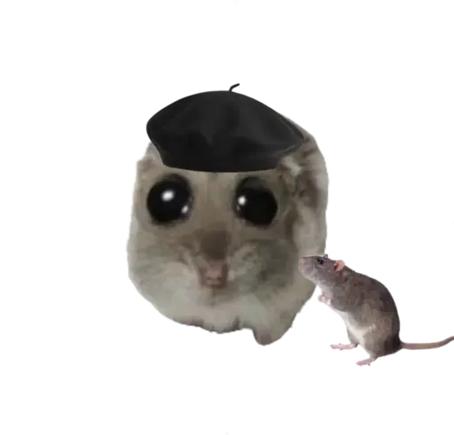 Sticker from the "sad hamster" sticker pack