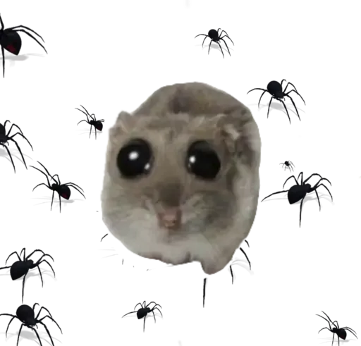 Sticker from the "sad hamster" sticker pack