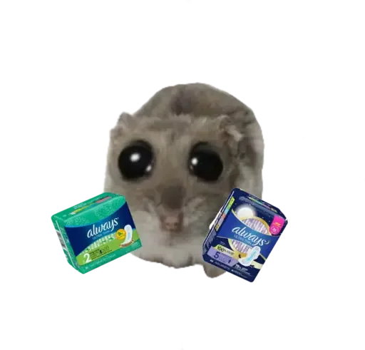 Sticker from the "sad hamster" sticker pack