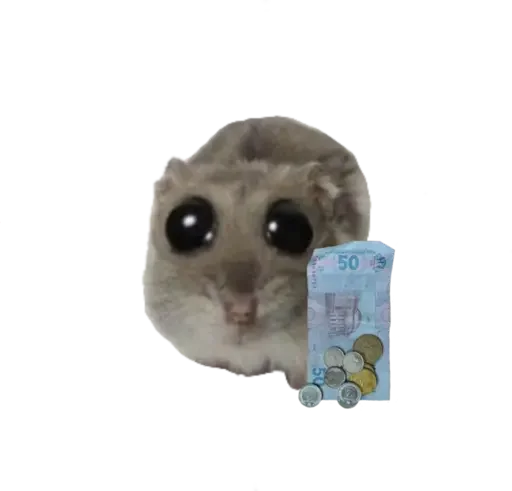 Sticker sad hamster