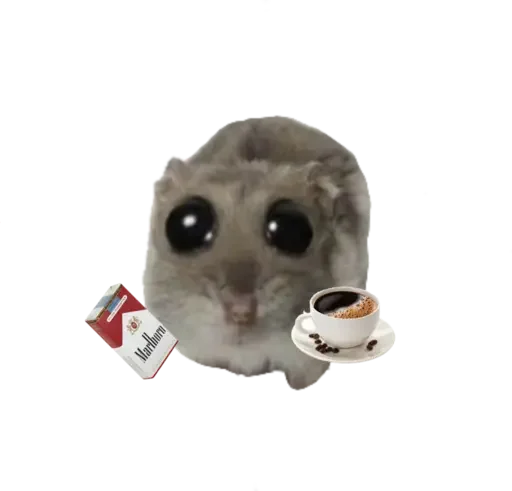 Sticker from the "sad hamster" sticker pack