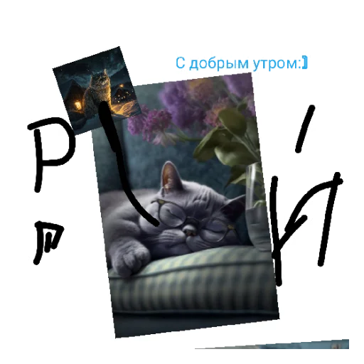 Sticker from the "Мои котики:)" sticker pack