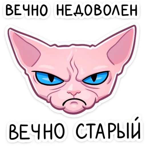 Sticker from the "Рамзес" sticker pack