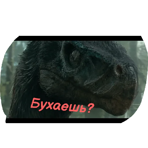 Стикер из набора "Jurassic era"