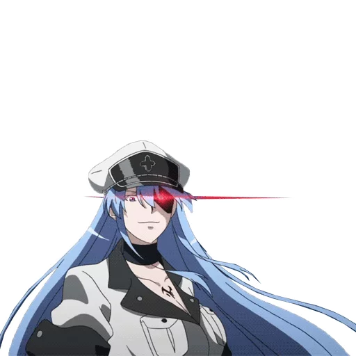 Sticker from the "akame ga kill" sticker pack