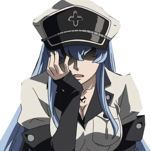 Sticker from the "akame ga kill" sticker pack