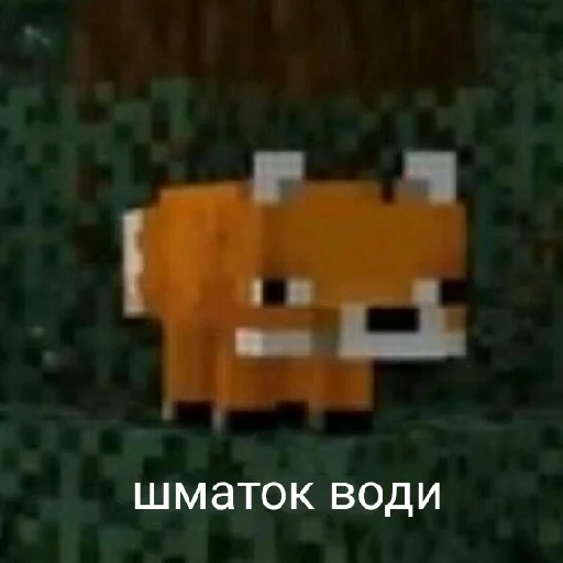 Sticker from the "Життєво -_-" sticker pack