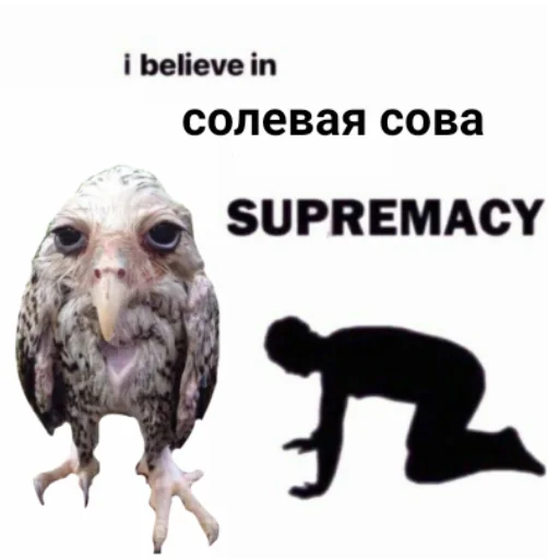 Sticker from the "Солевая сова" sticker pack