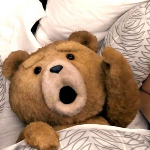 Стикер из набора "Ted"