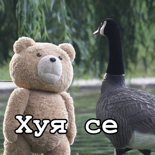 Стикер из набора "Ted"