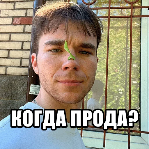 Sticker from the "Mikhail Boldurev" sticker pack