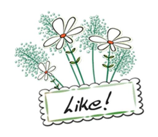 Sticker Flowers and greeting card