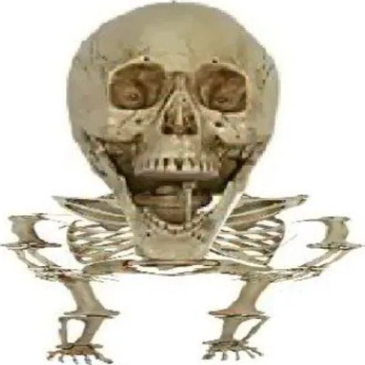 Sticker from the "Skulls" sticker pack