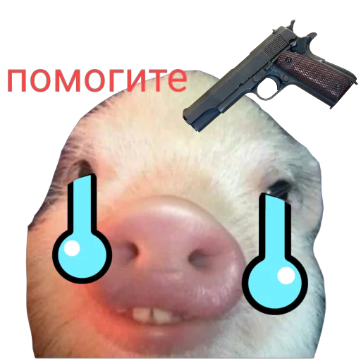 Sticker from the "Поросята" sticker pack