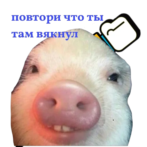 Sticker from the "Поросята" sticker pack